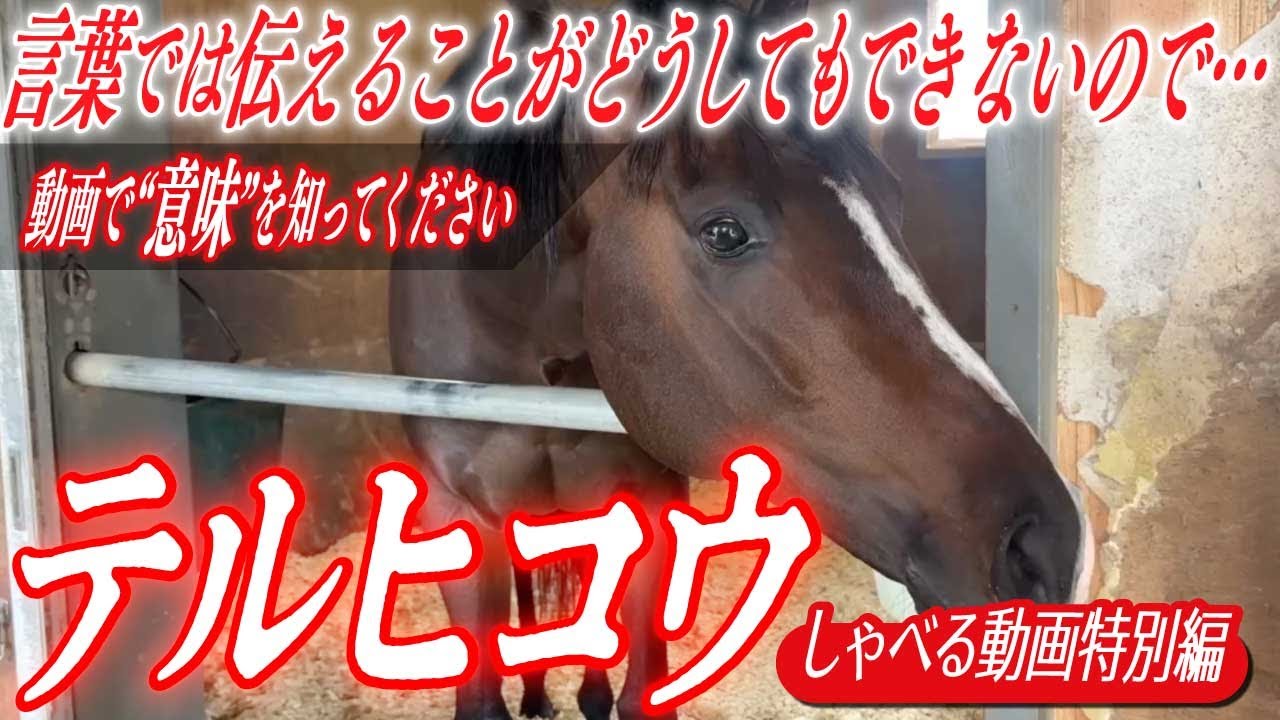 【東スポ杯２歳Ｓ2025】話題の馬テルヒコウが登場！名付け親はあの有名な方！今回はテロップでコメントを流す新パターンです！