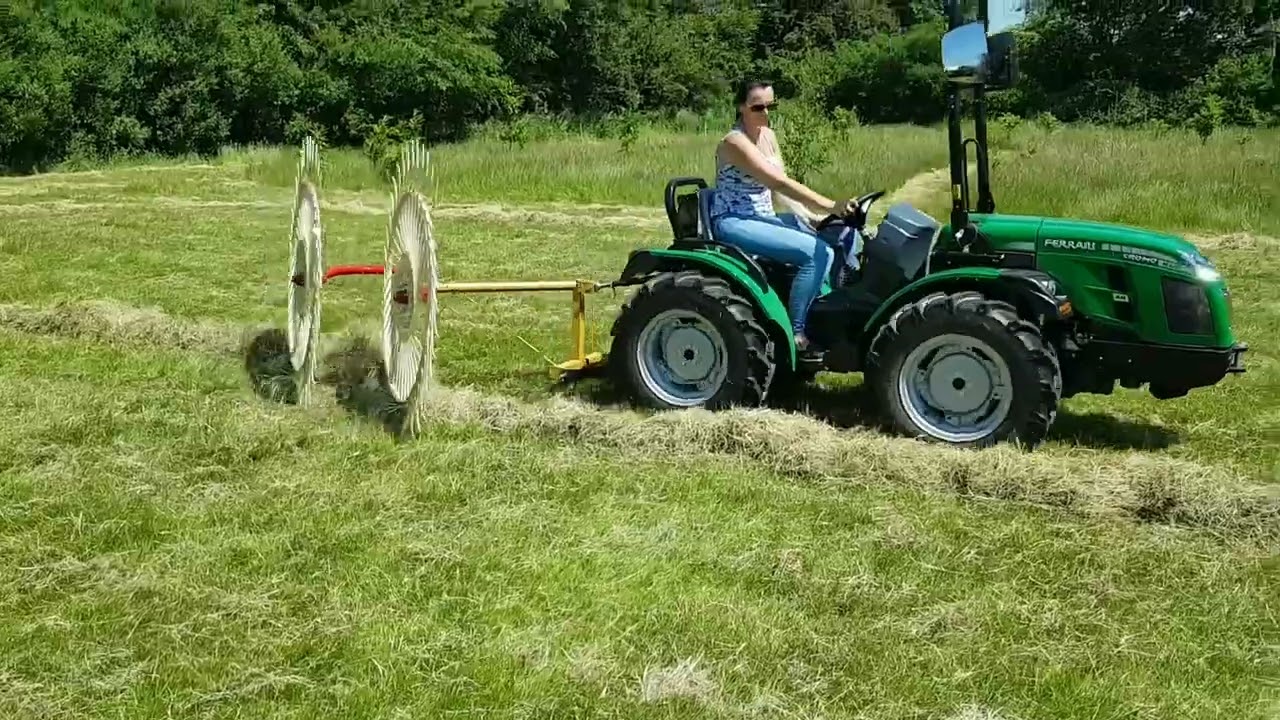 BSG Hay Rake / Tedder Implement