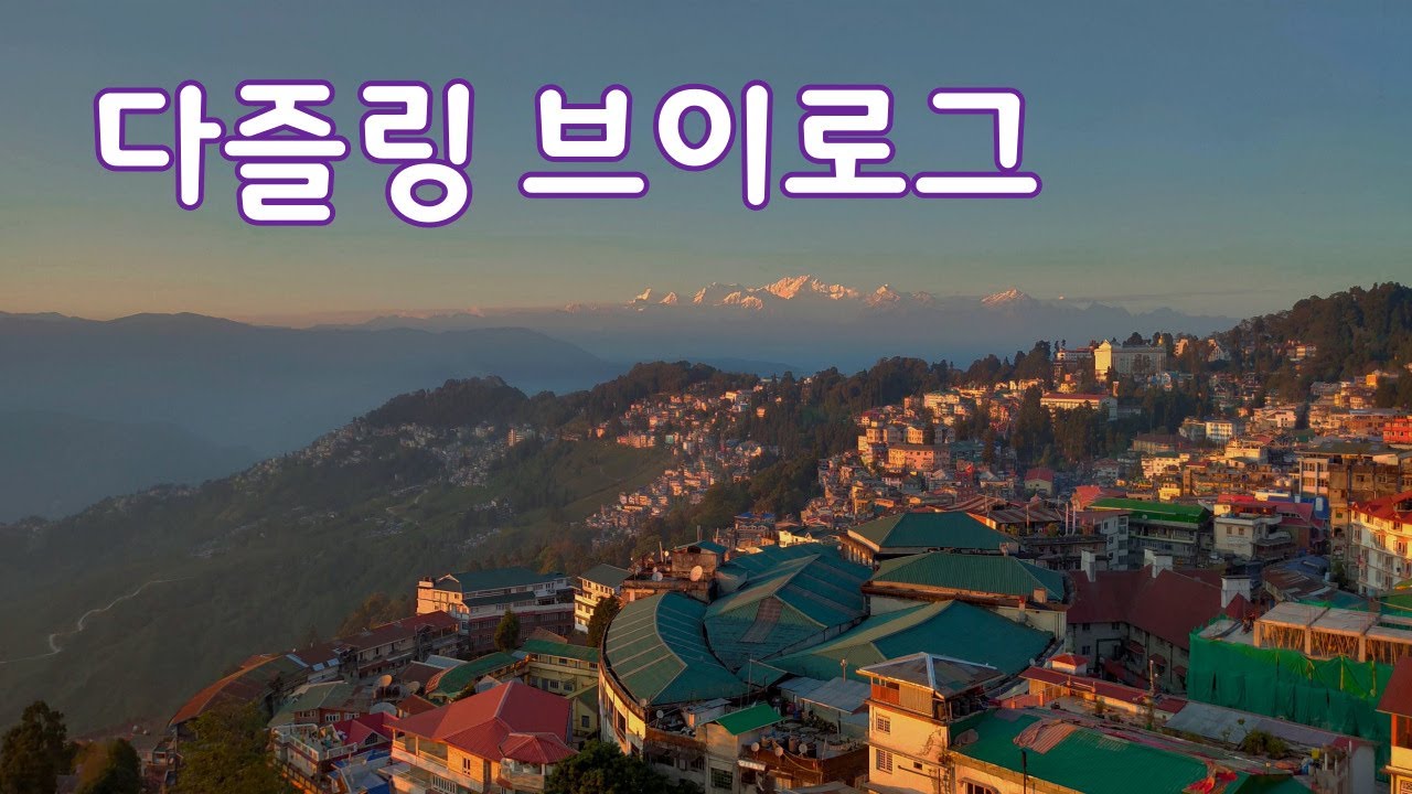 [인도 I 다즐링] 다즐링 브이로그