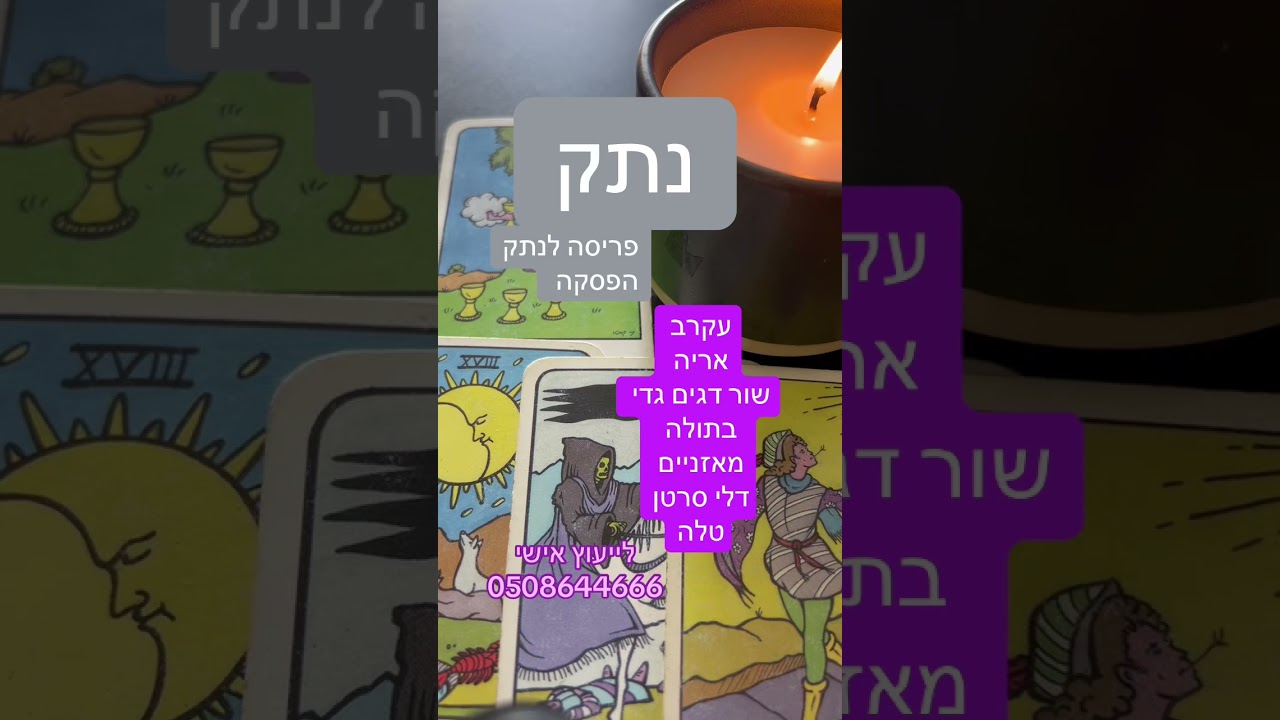 נתקקקק!!!!מי הוא מה מה צפוי ..לשיחה אישית איתי 0508644666ורד💛