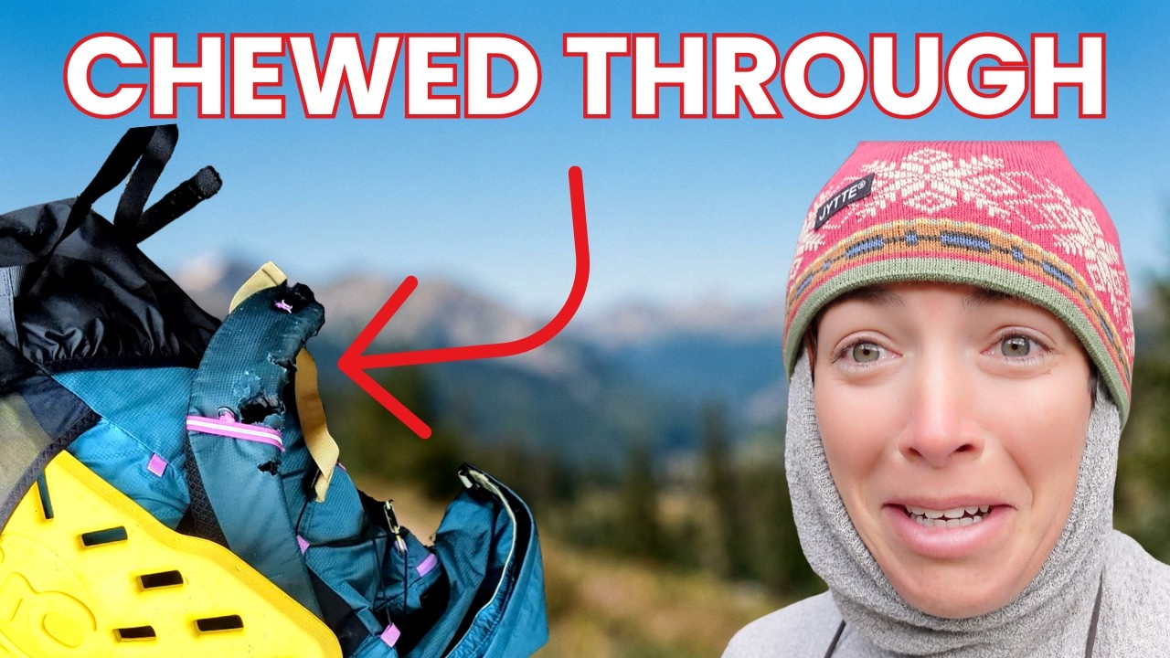 250 Miles In, My ColoradoTrail Hike Was ALMOST Ruined