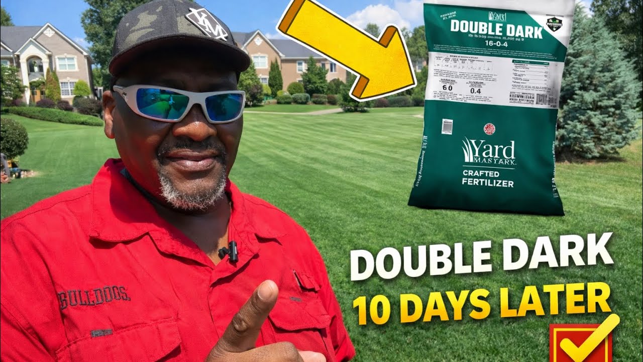 July 14, 2023 Before & After, 10 Days after I Applied YardMastery Double Dark, this Happened!!