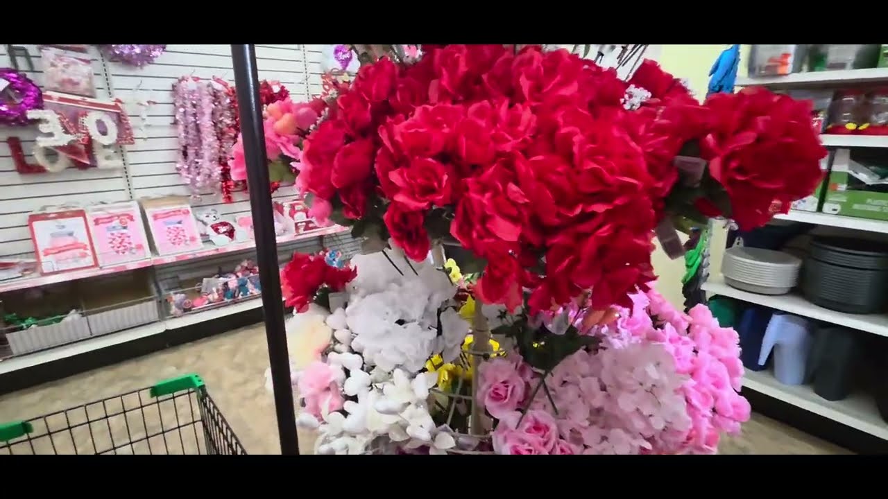 🤔 Тур по магазину Dollar Tree. Что можно купить полезного? 