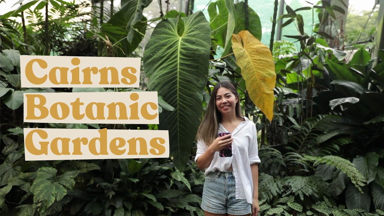 Cairns Botanic Gardens Tour | Aroids and more