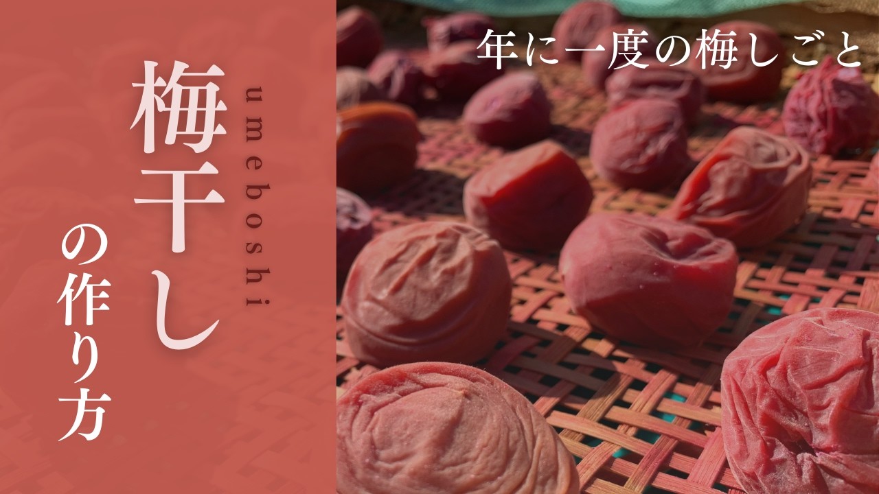 自家製 梅干しの作り方