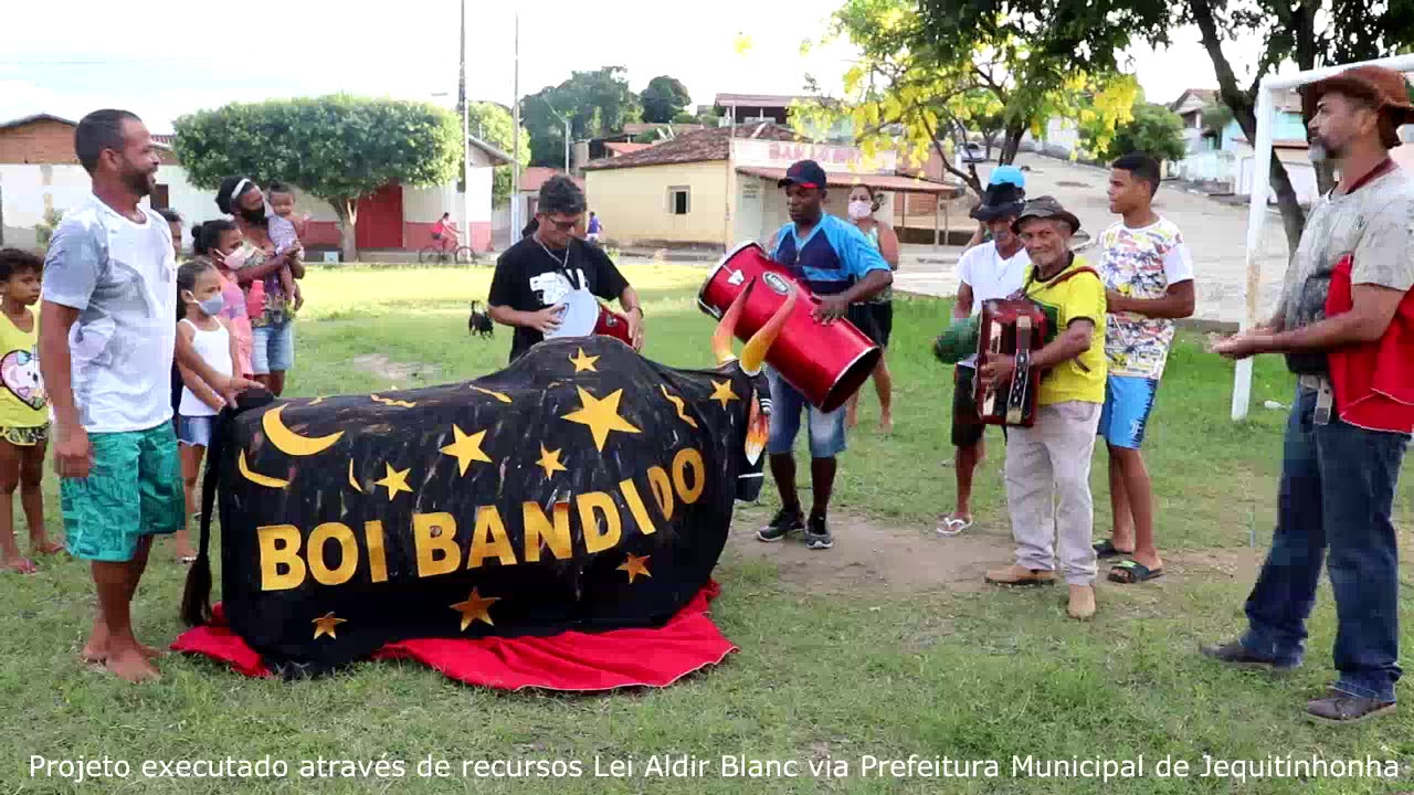 Boi de Janeiro Bandido -Wilson Carlos Martins Ribeiro