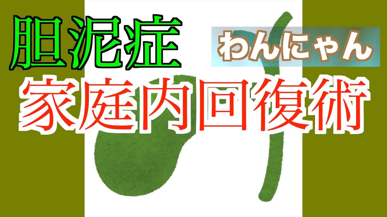 【家庭の医学】いぬとねこの胆泥症。回復例とその仕組み。