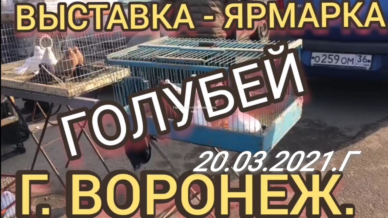 1.ч.