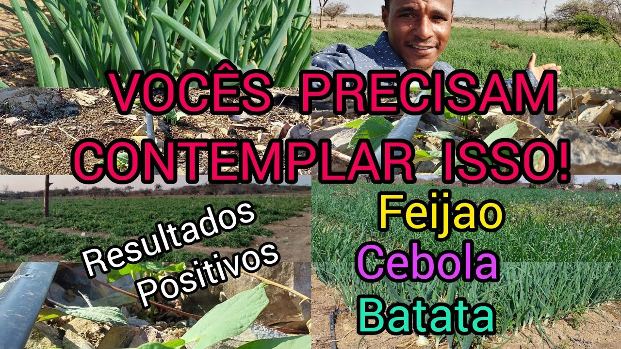 resultados  positivos .DEUS NO COMANDO SEMPRE!!!