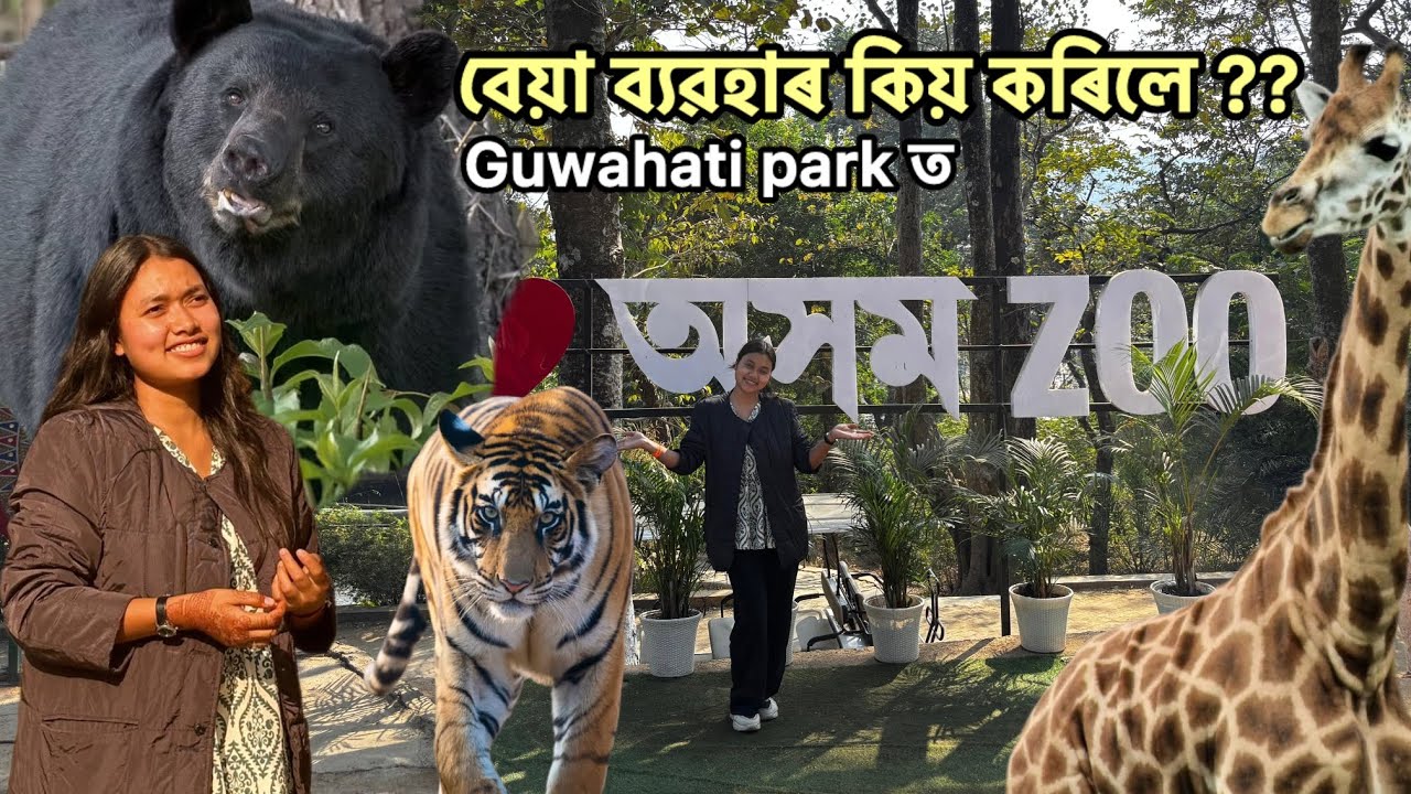 চিৰিয়াখানা গ’লো🥰🥰// Assam state zoo🐯// #assamese #vlog #food #zoo #fun 