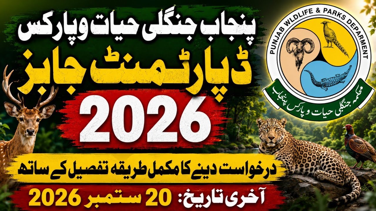Punjab Wildlife Jobs 2026 | Punjab Wildlife and Park Department Job 2026 | Wildlife Job Online Apply