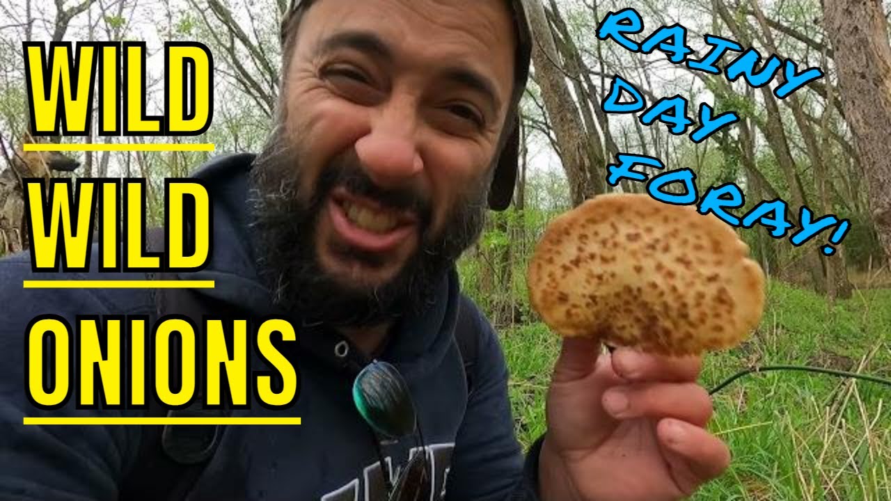 Wild Edible Plants, Early Spring in Indiana