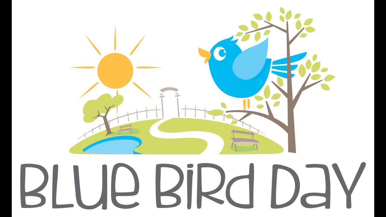 Make Every Day a Blue Bird Day