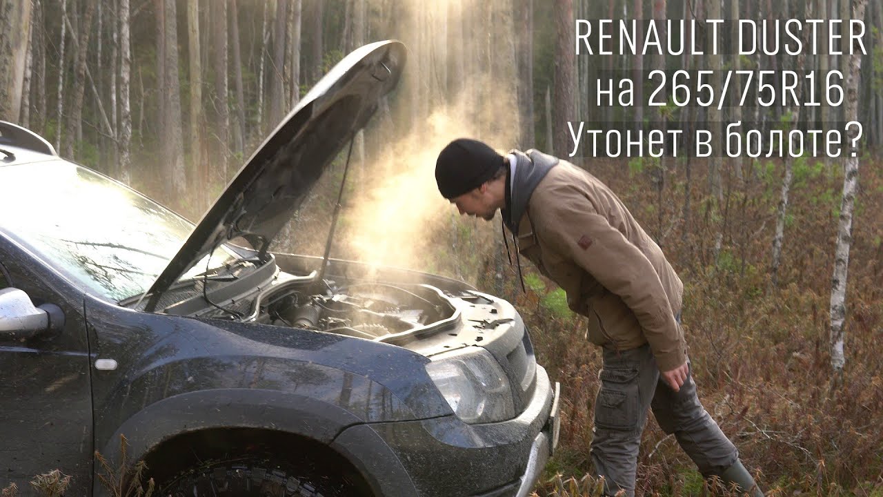 Рено Дастер на болоте: провалится или нет? / Renault Duster on swamp / Maxxis Razr AT 265/75R16