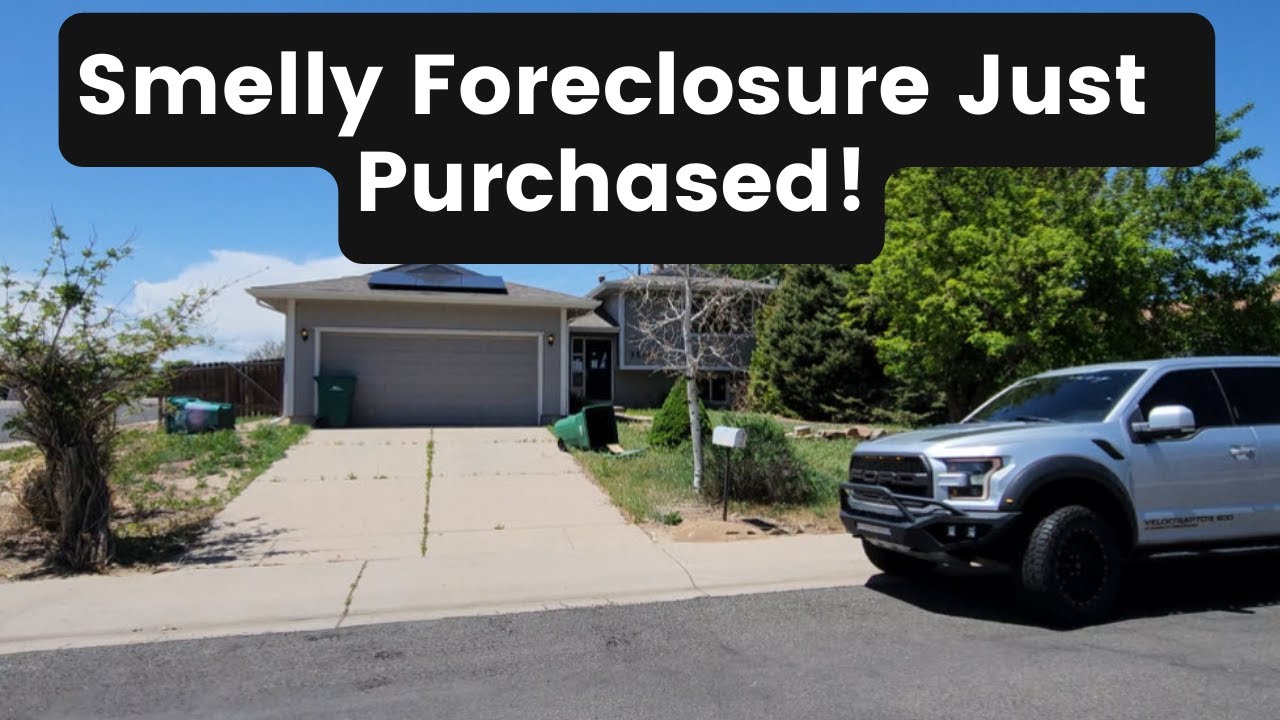 Smelly Foreclosure House Flip Bought From an Auction With a Few Major Issues!