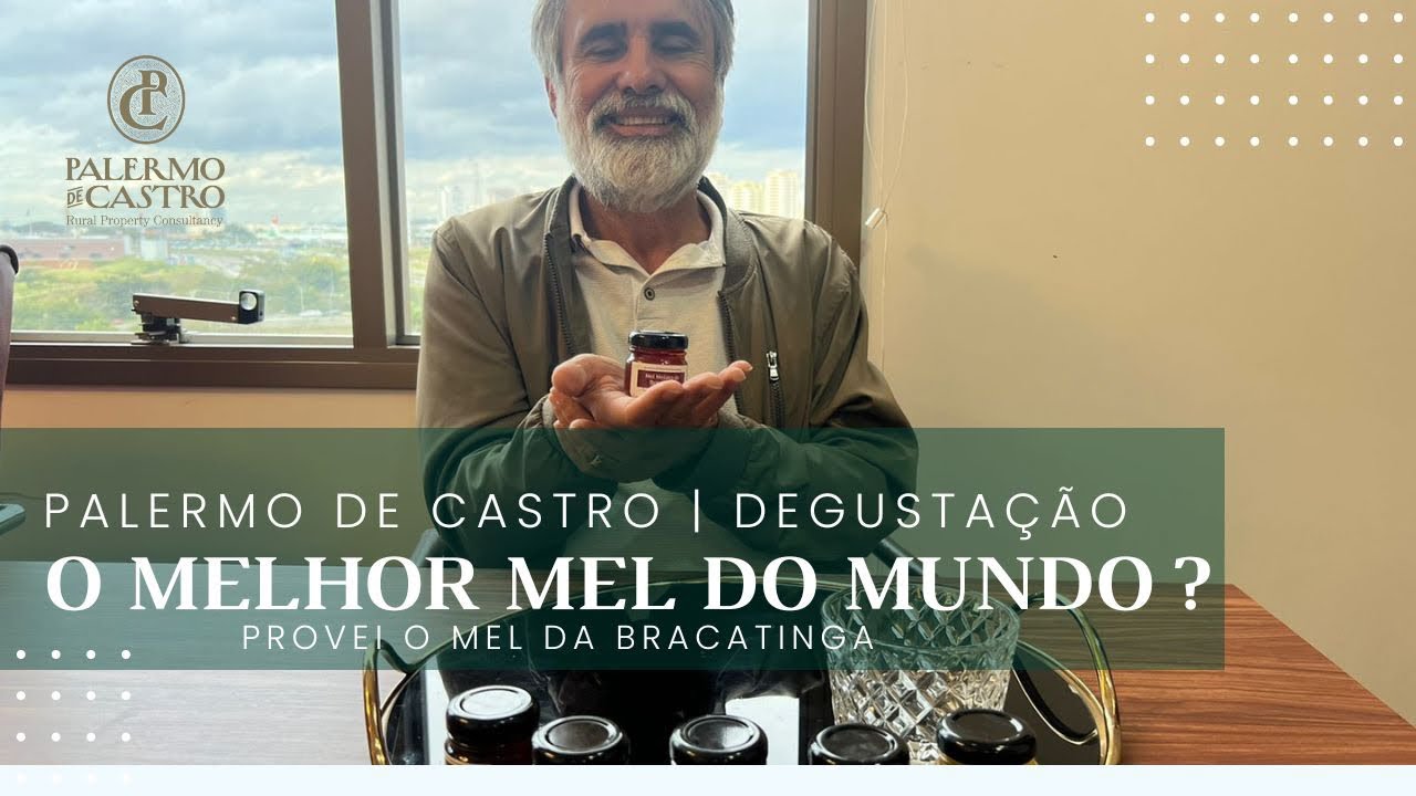 O melhor mel do mundo? Provei o mel melato de bracatinga.