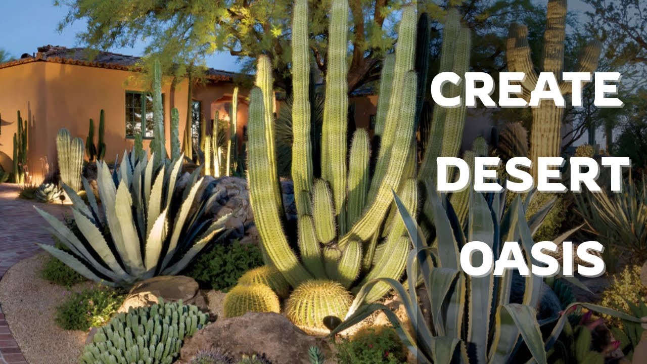 top desert plants for a drought-tolerant garden | gardeners world