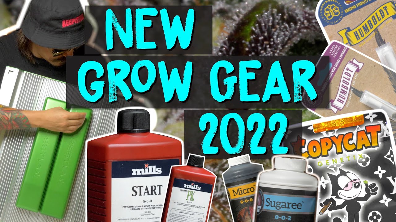 New Cannabis Grow Gear 2022 for Seed To Harvest (New Strains, Bestva LED Grow Light, Grow Nutrients)