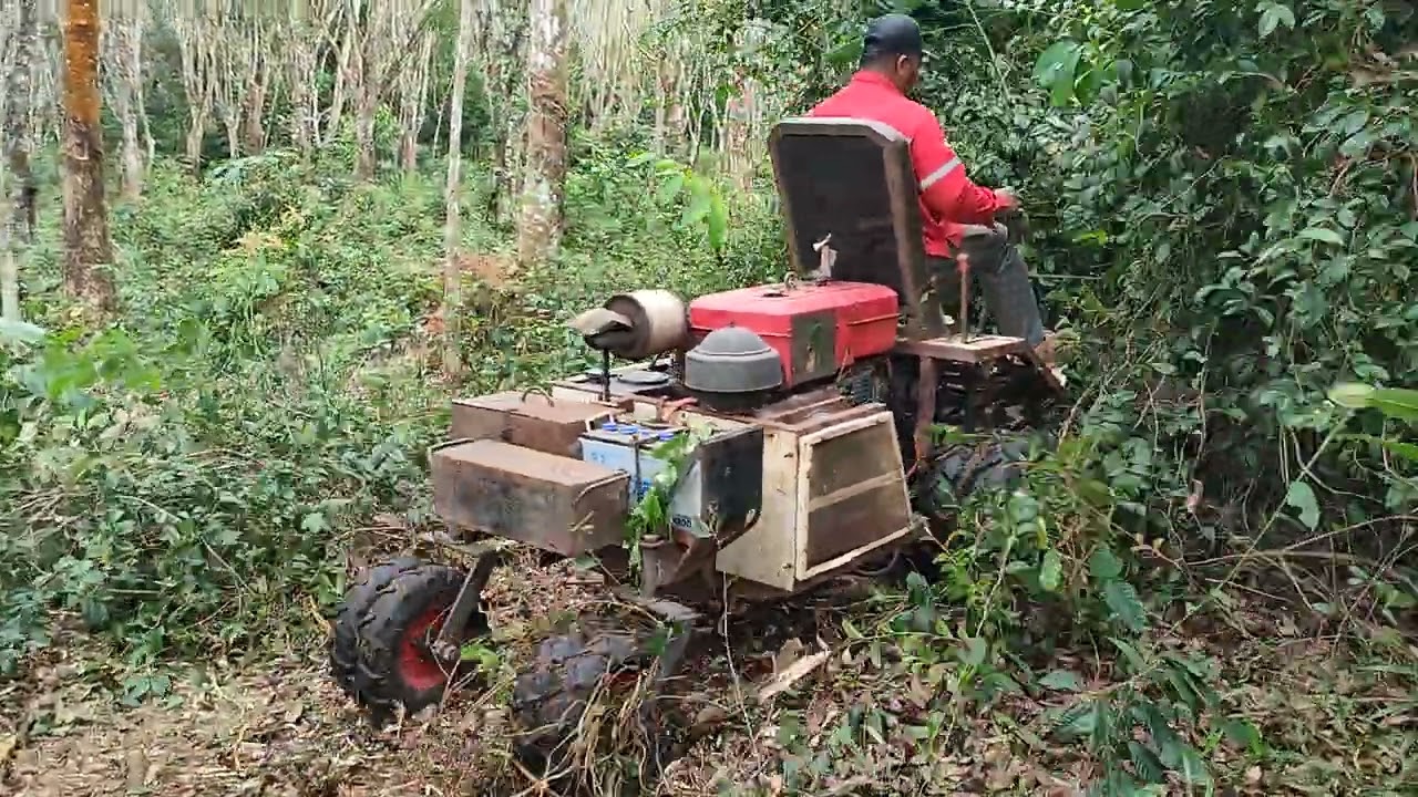 EXTREAM, TIDAK SENGAJA MEMBUNUH ULAR 😭😭
