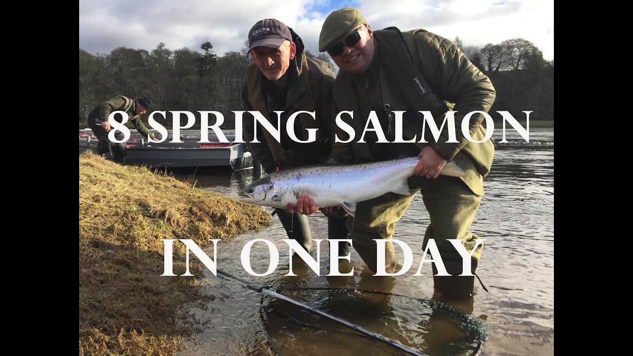 Red Letter Day on the Tay at Taymount.
