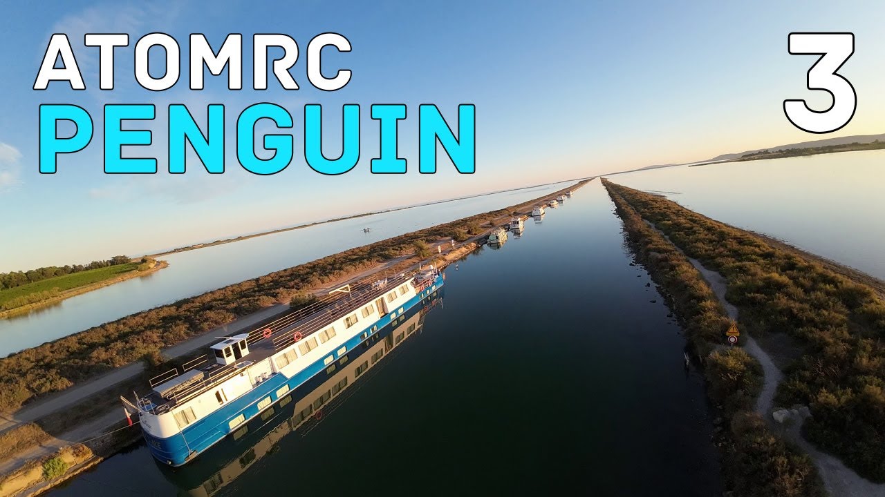 AtomRC Penguin (3/3)