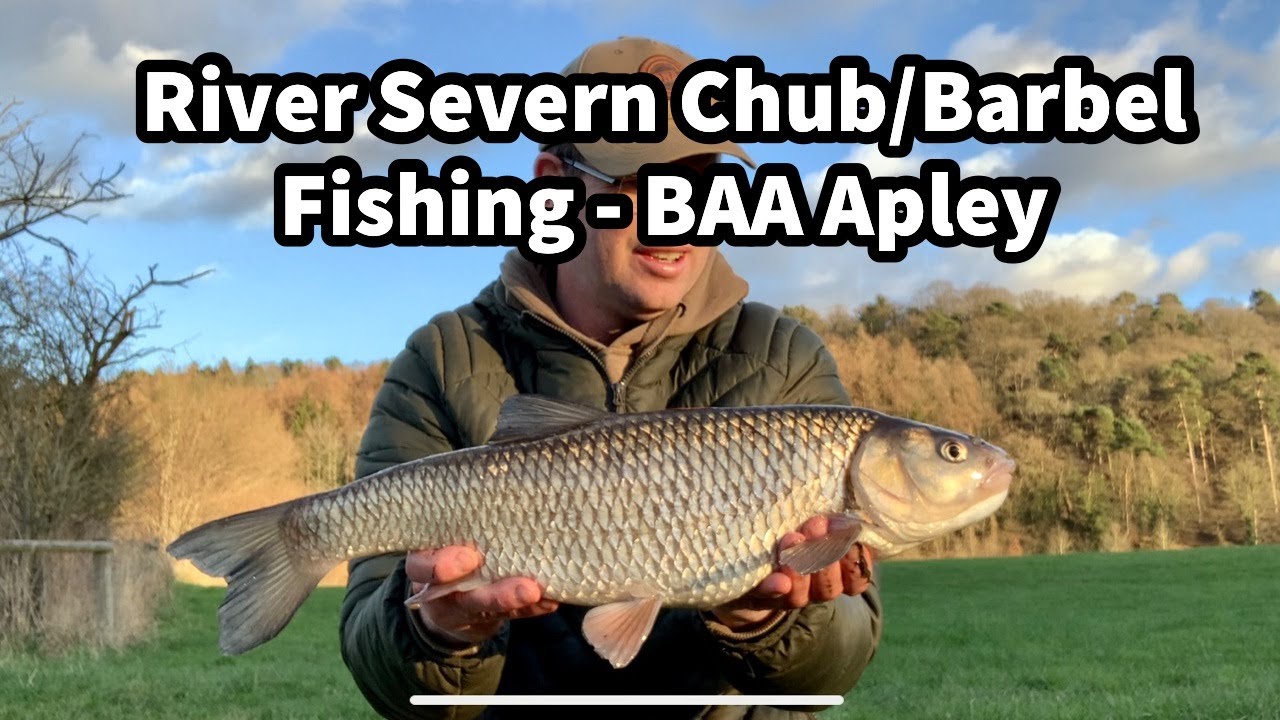 River Severn Winter Chub & Barbel Fishing | BAA Apley near Bridgnorth EP6