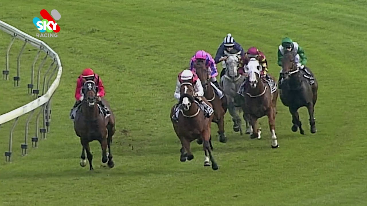 Takeover Target