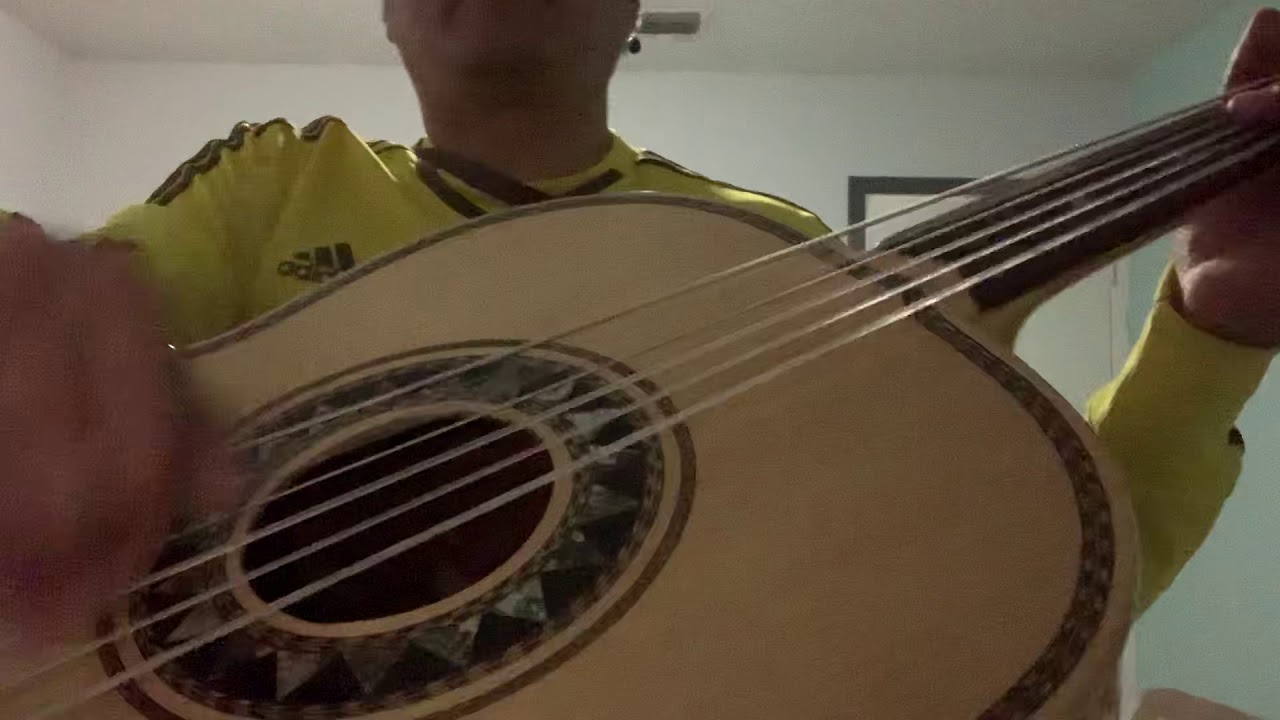 con guitarr&oacute;n un fragmento del cascabel con mariachi juvenil tecalitlan