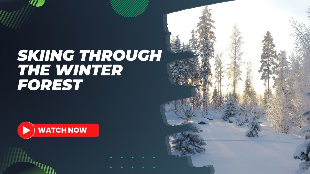 Skiing through the winter forest