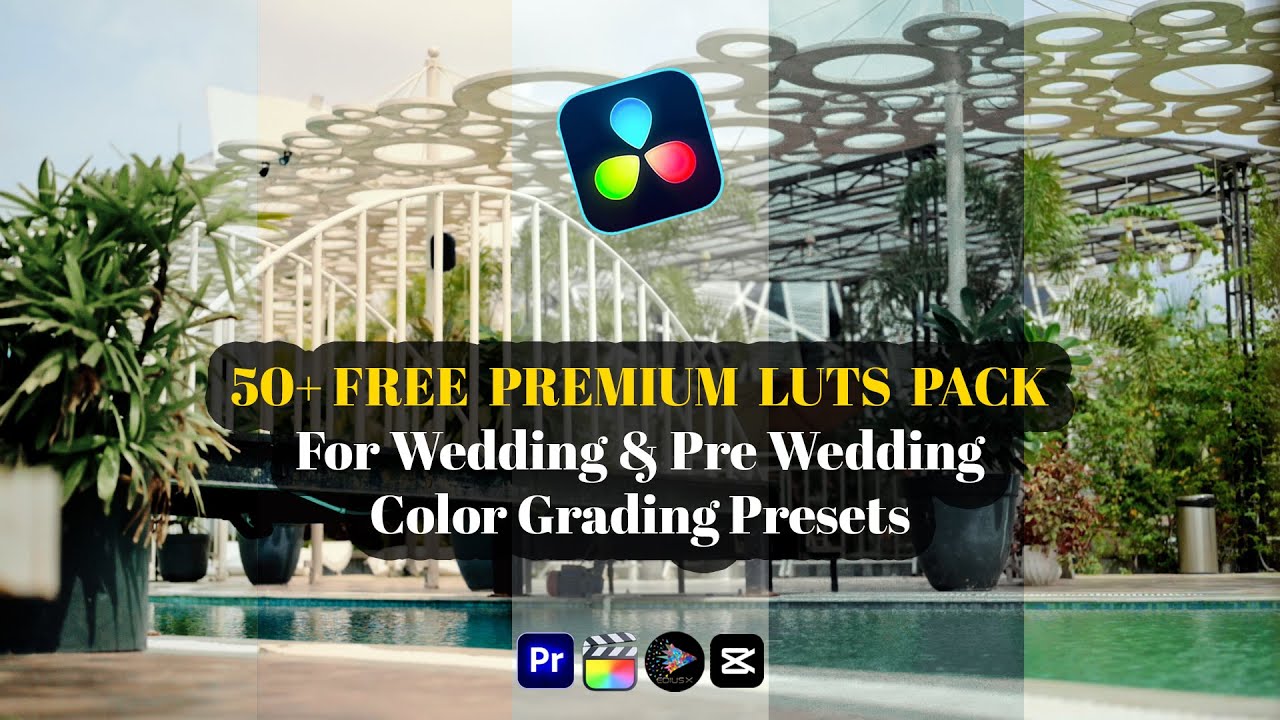 Best Premium Dark & Moody LUTs Free || DaVinci Resolve || 50+ Color  Grading Presets || #LoveEdits
