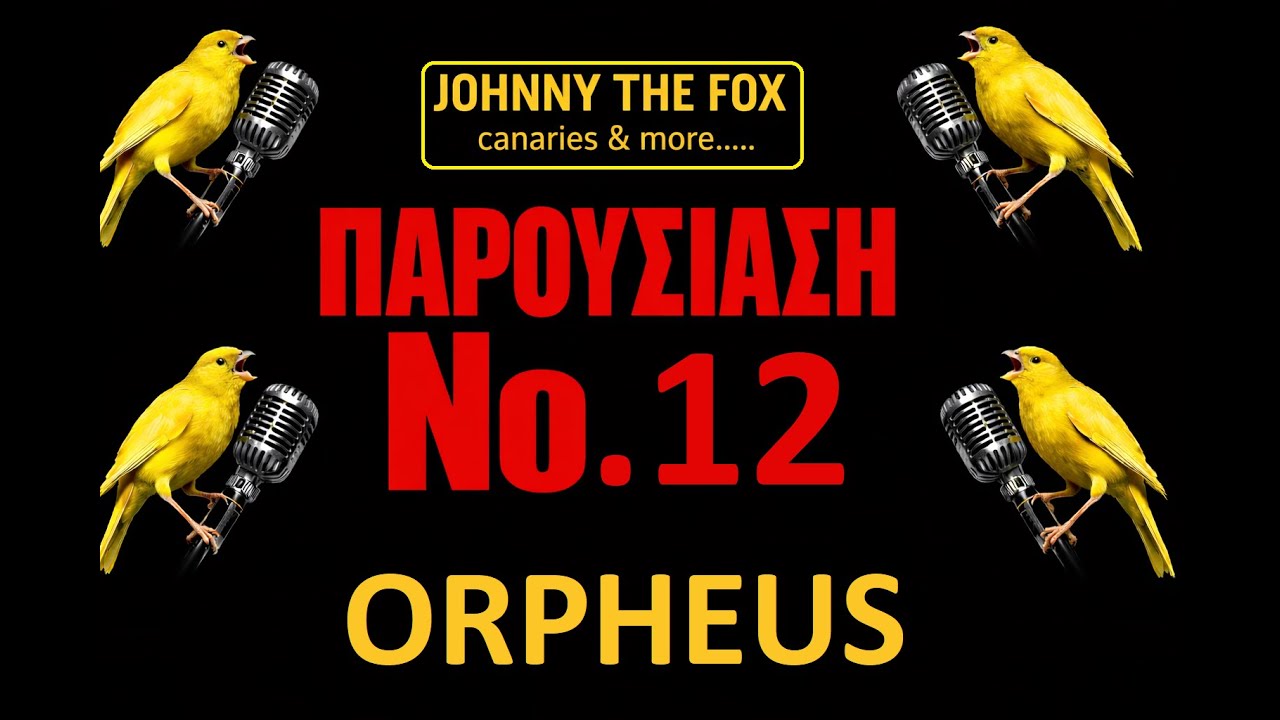 ORPHEUS CΑΝΑRY ΠΑΡΟΥΣΙΑΣΗ Νο 12