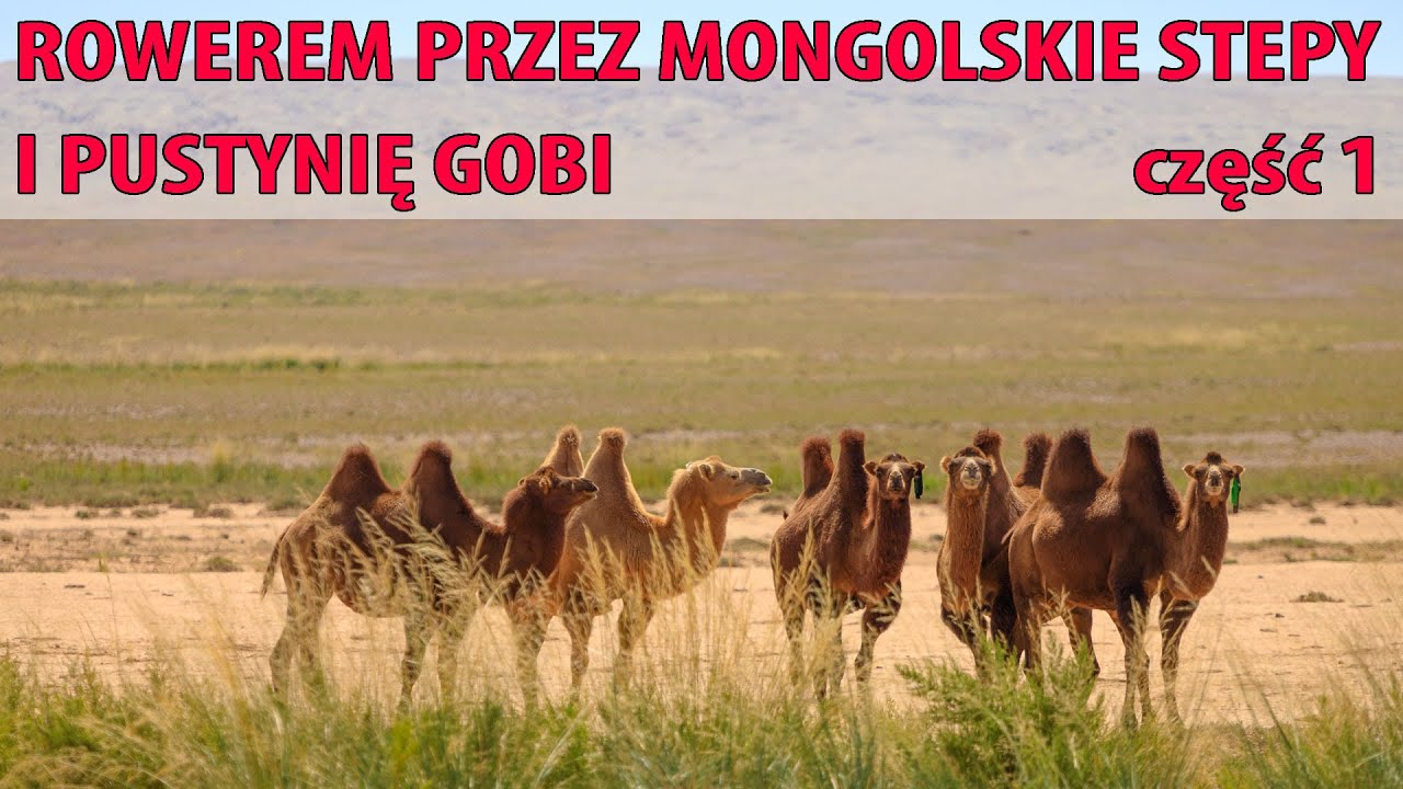 Rowerem przez Mongolskie Stepy i Pustynię Gobi (część 1)