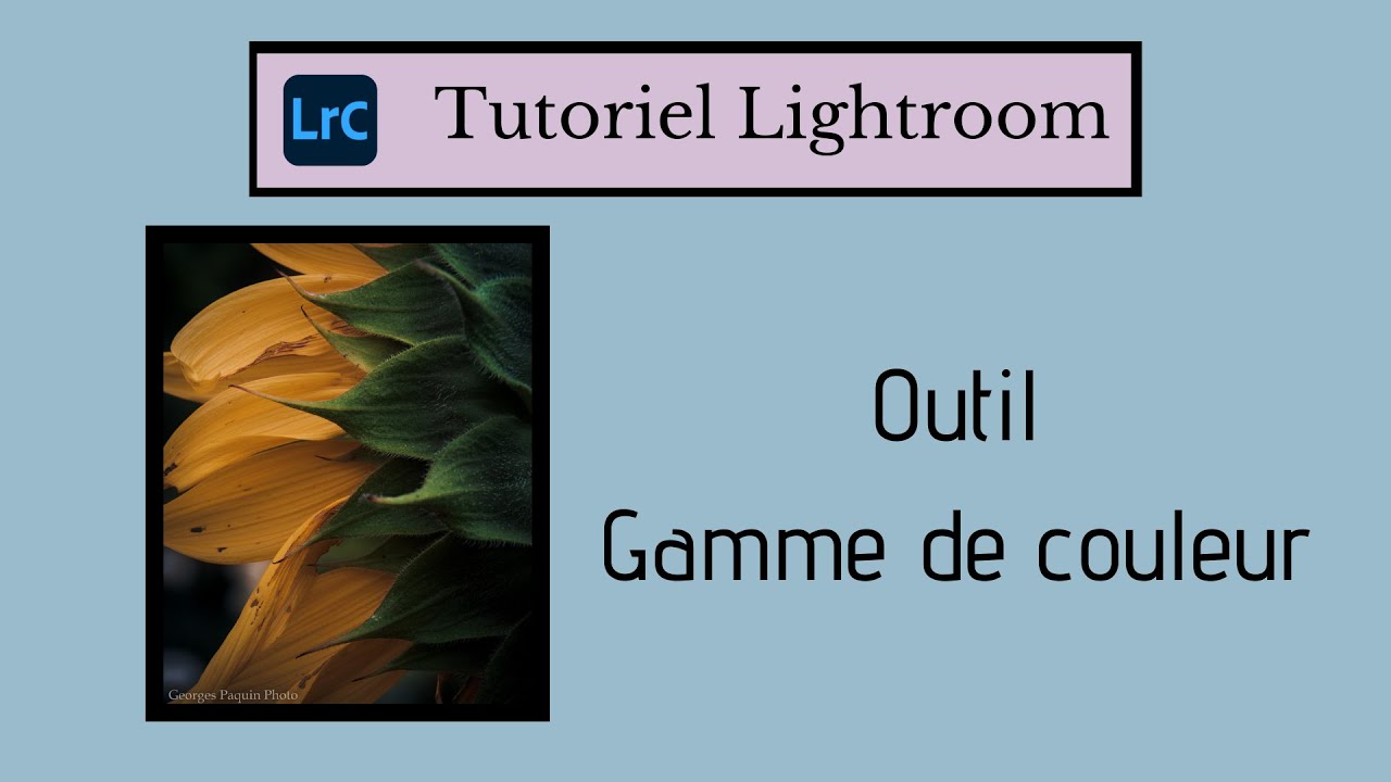 Gamme de couleur