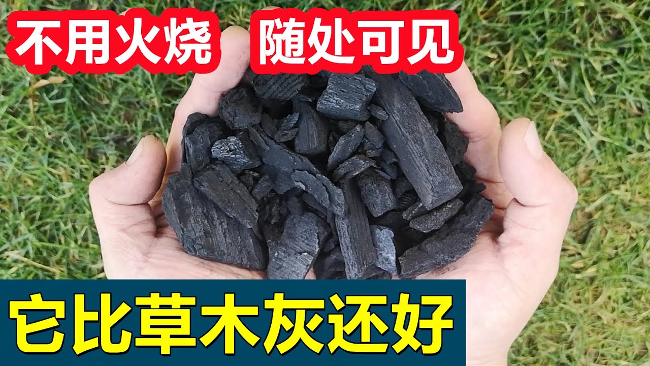 改良土壤, 补钾补肥, 不用烧火, 没有草木灰就用它, 可能你身边就有