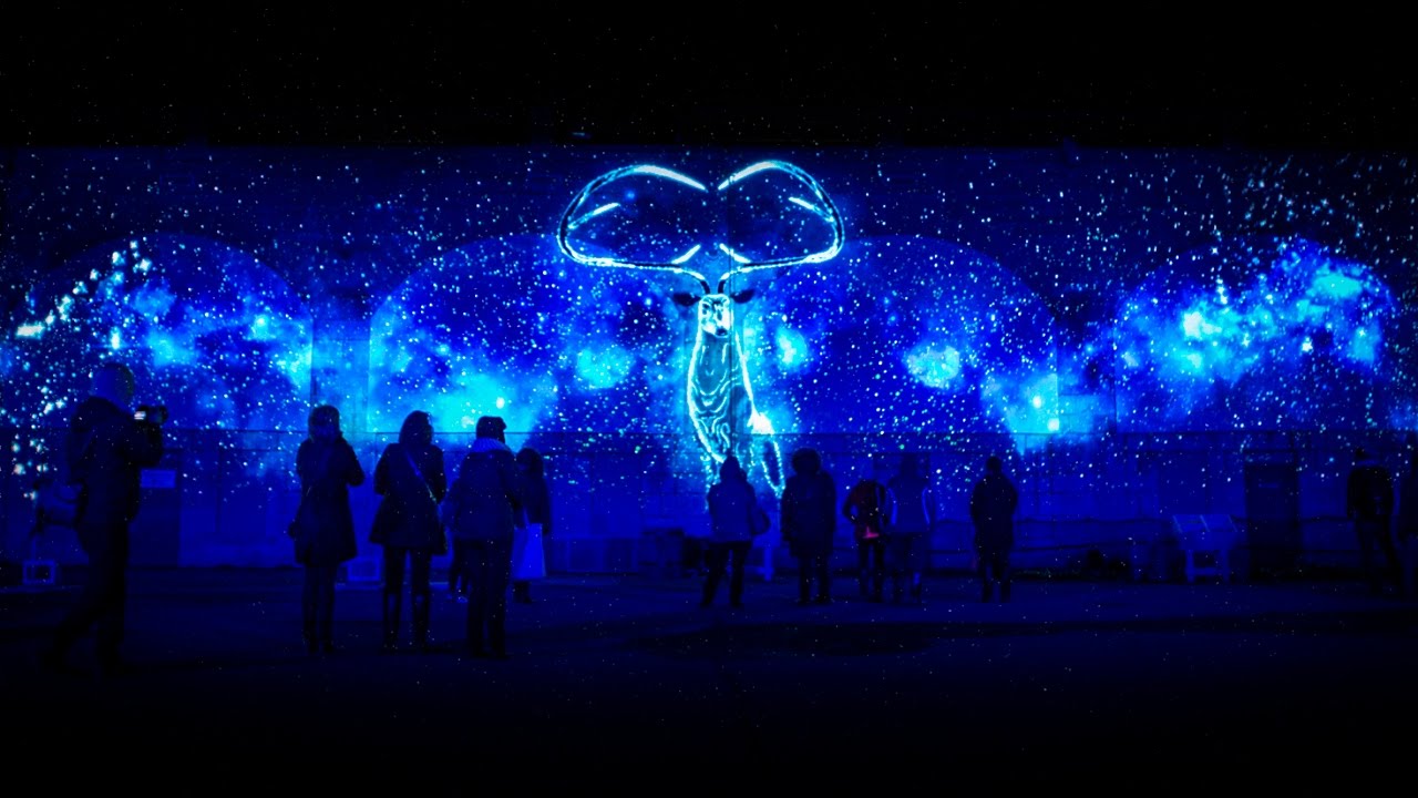 LUMINA BOREALIS