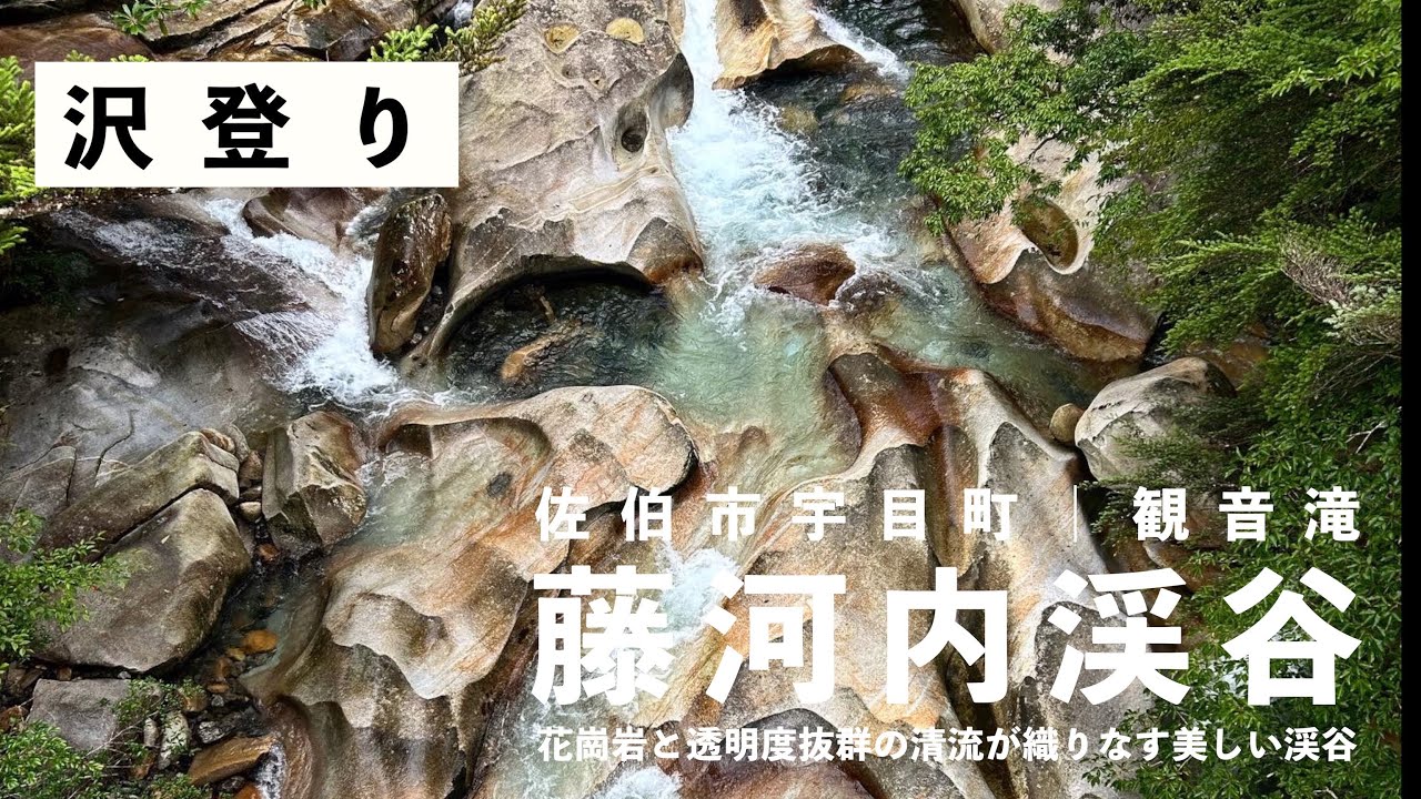 【沢登り】藤河内渓谷・立松谷を遡行して観音滝を目指す