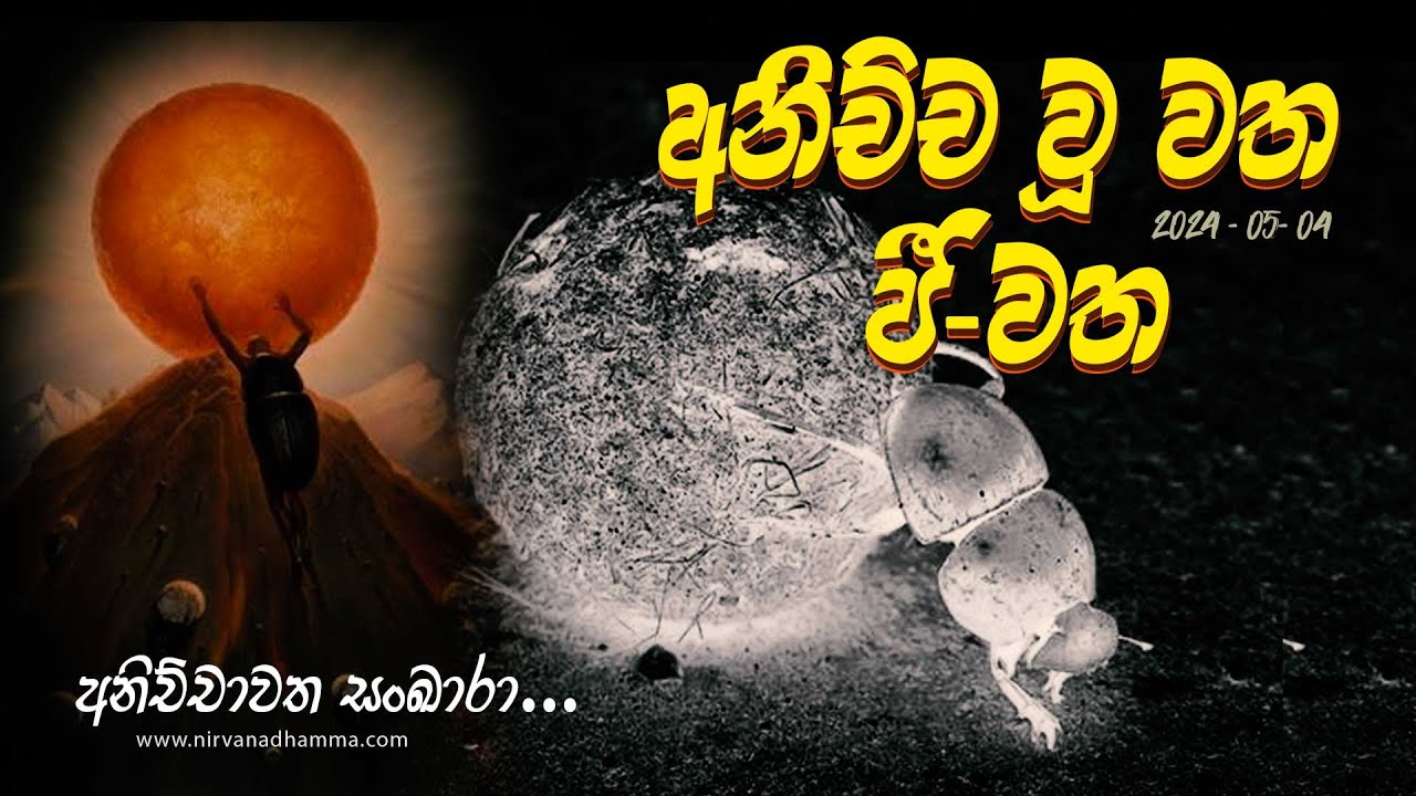 Nirvana Dhamma Online Discussion 2024-05-04