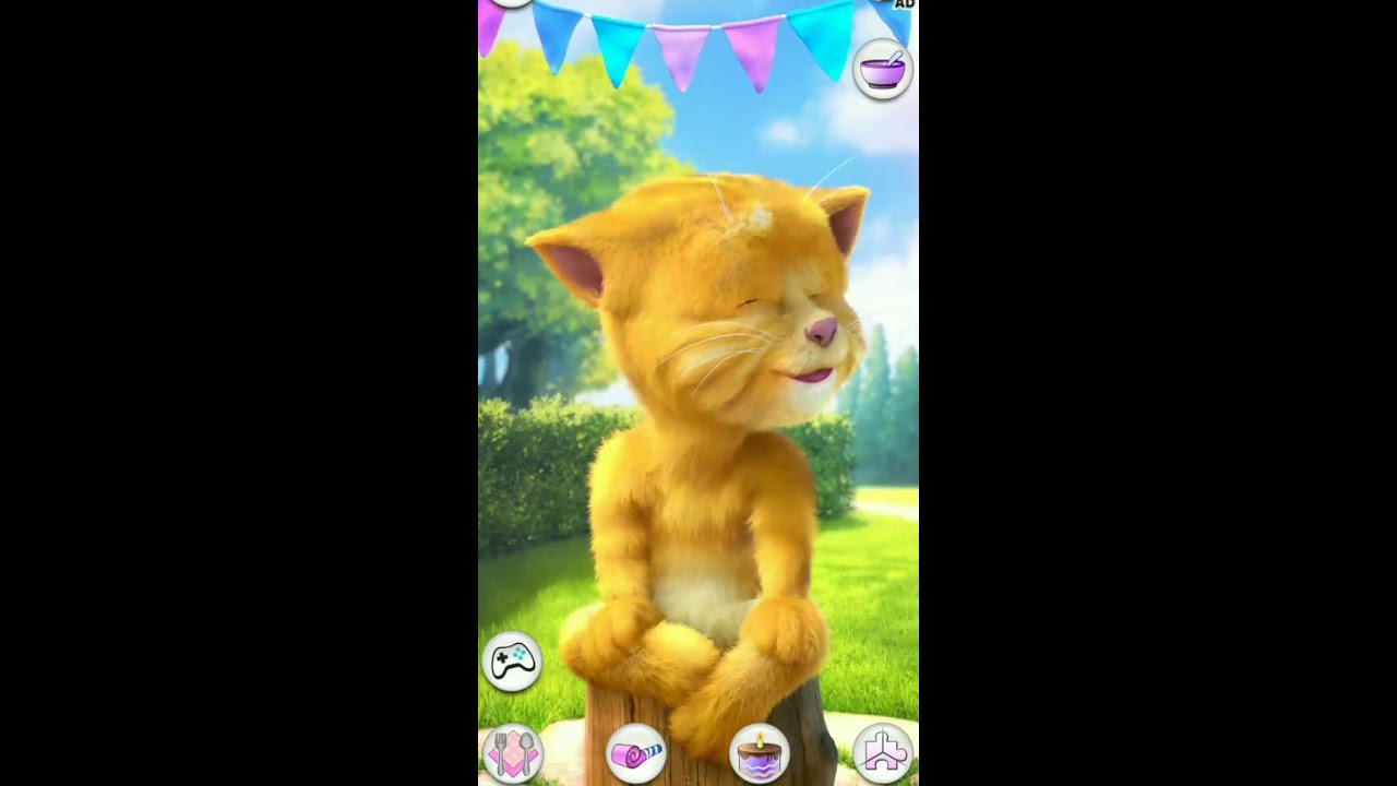 Talking Ginger Live Streaming