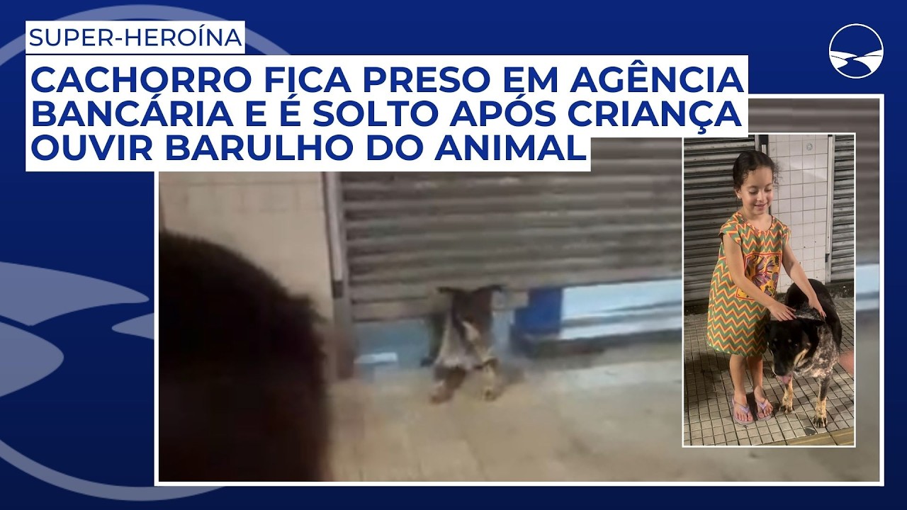 Cachorro fica preso em agência bancária e é solto após criança ouvir barulho do animal
