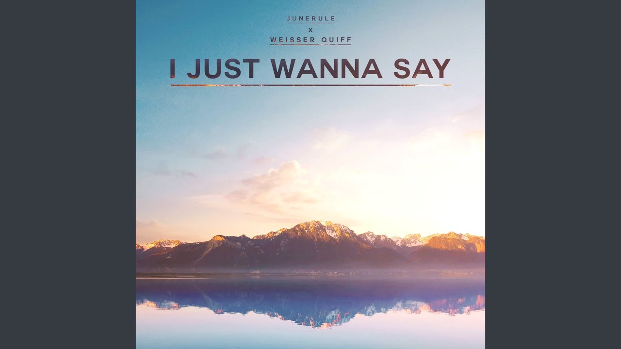 I Just Wanna Say