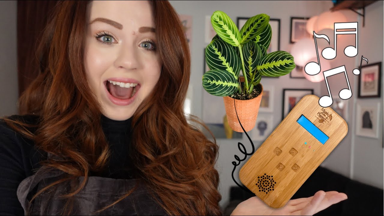 The Tik Tok Famous Plant Translator!