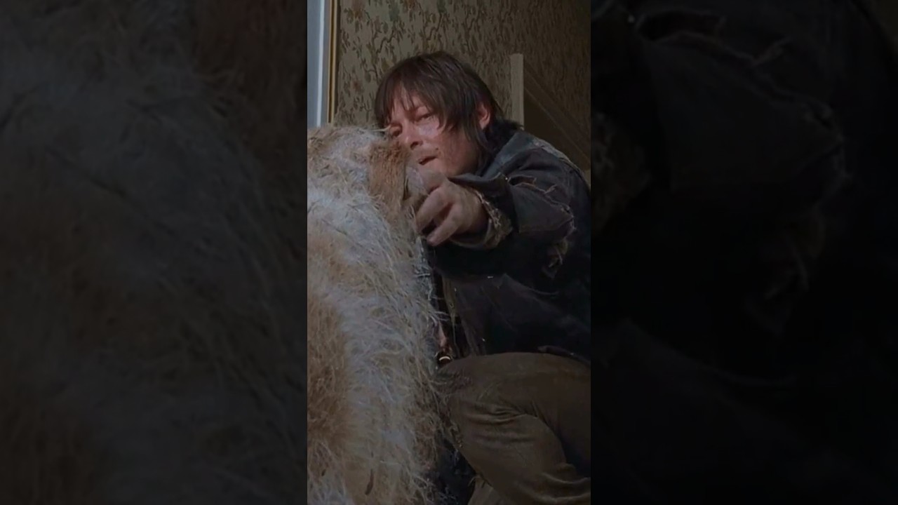 Daryl finds first dog | The Walking Dead 