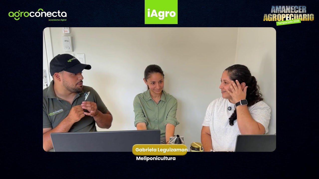 AMANECER AGROPECUARIO EN STREAMING