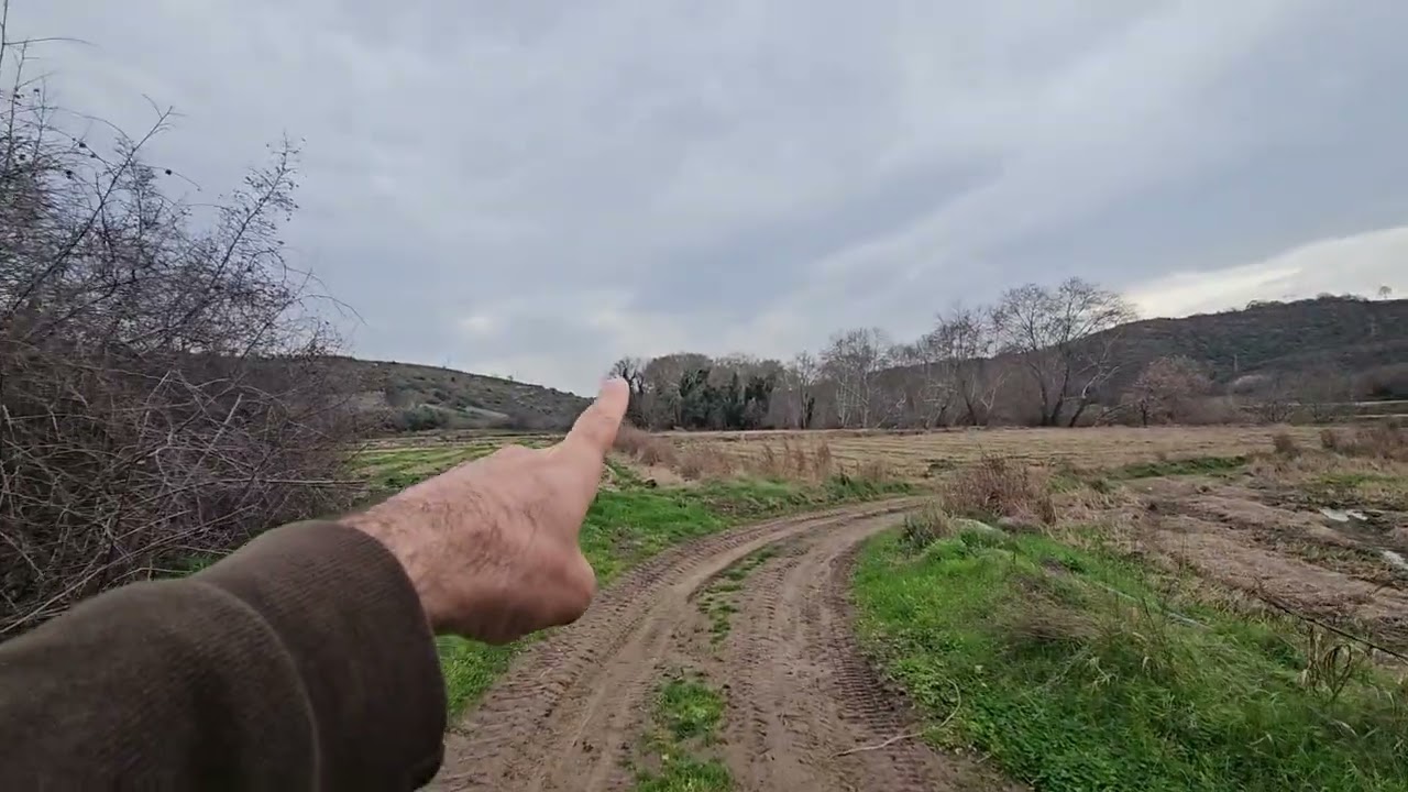 Satılık 2 tapu 9100 m2  tarla