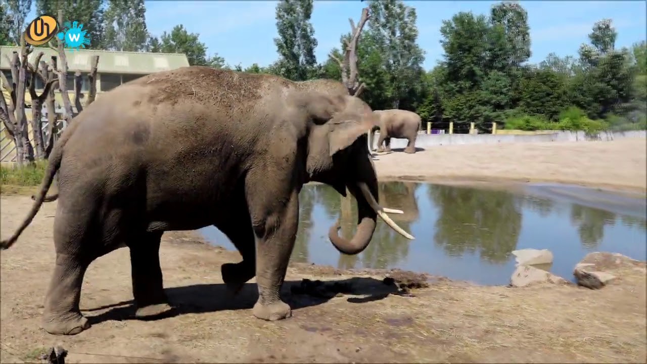 Aapjes kijken in Dierenrijk...en nog veel meer