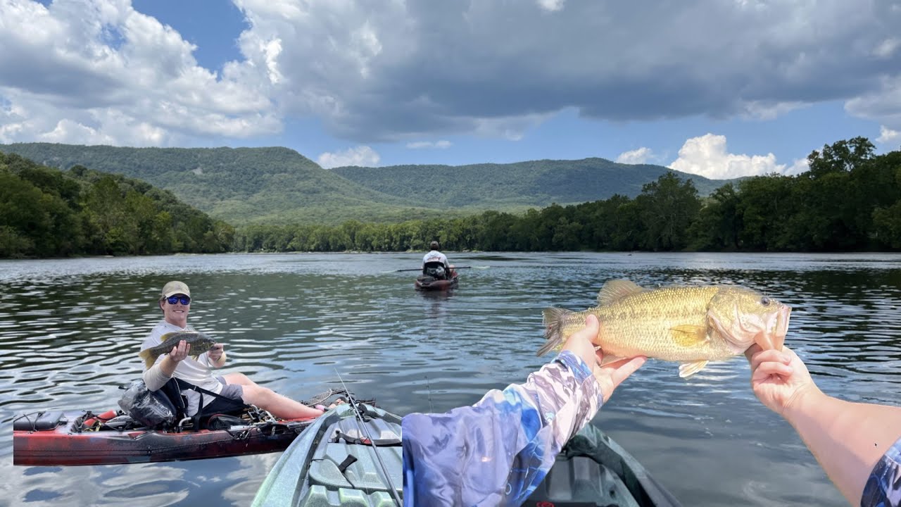 Multiple species bass fishing on the Shenandoah river!!