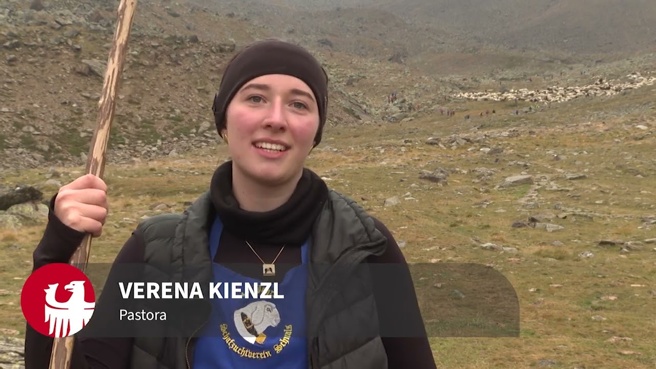 La transumanza: una tradizione che si ripete da secoli