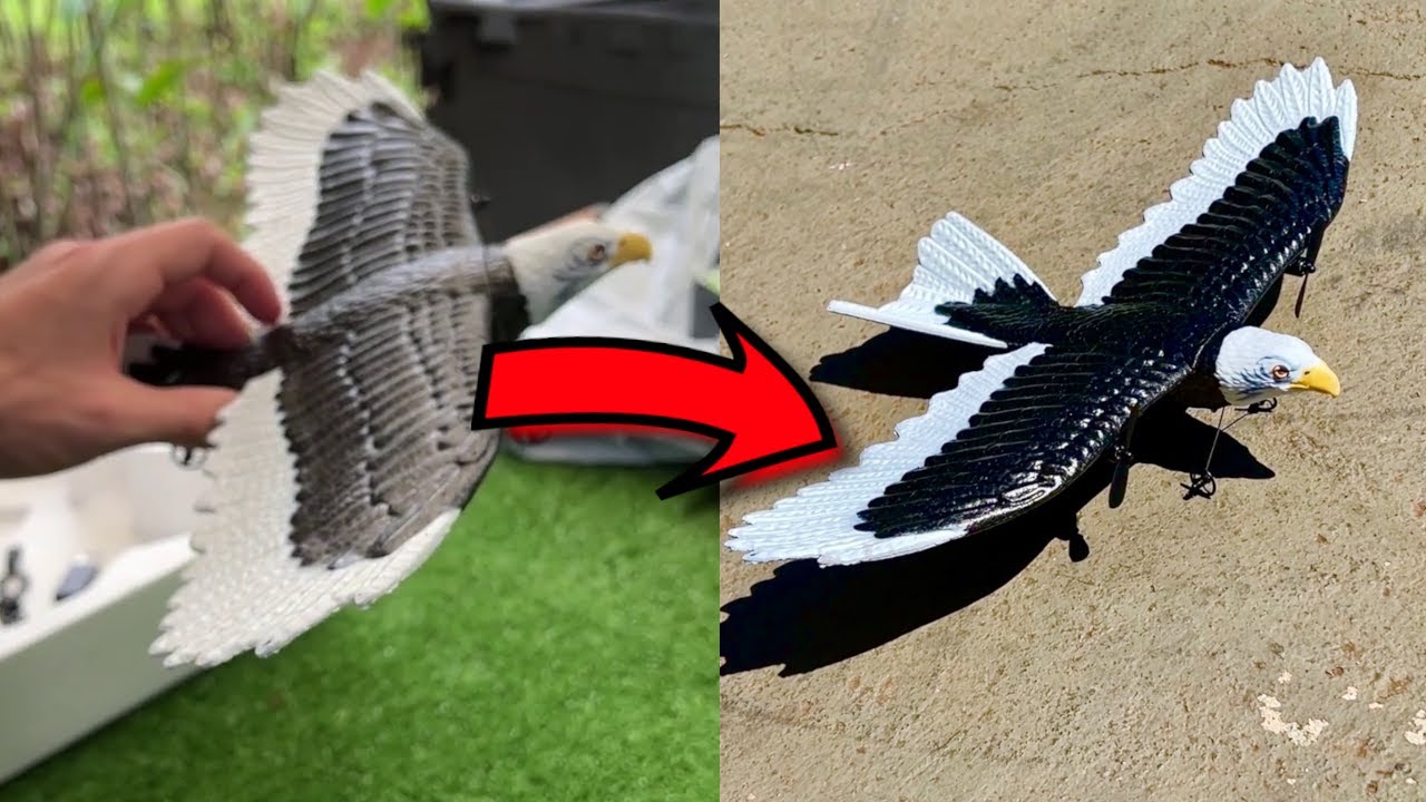 Essa águia de controle remoto é o TERROR dos pombos 🦅🚫😂