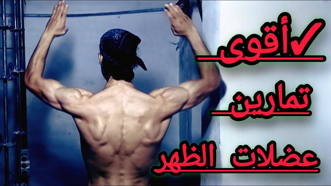 أفضل تمارين الضهر للمبتدئين والمتقدمين مع شرح كامل ☺️