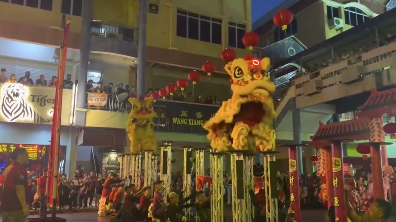 2023 Lion Dance Fall & Mistakes